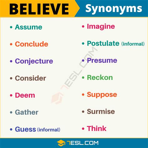 believe synonym|another word for thought believe.